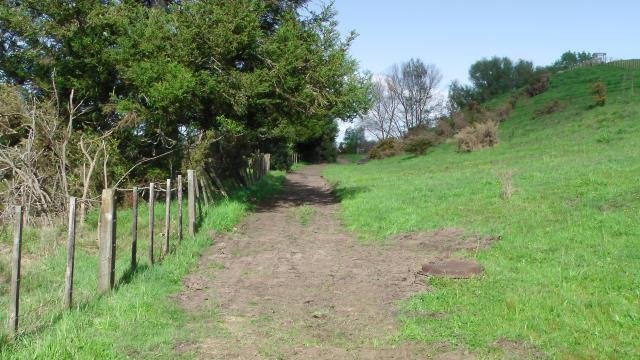 Rough layout of the track. Cambridge Tree Trust.